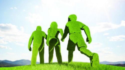 北清環(huán)能3.6億收購餐廚垃圾處理資產(chǎn) 溢價40倍背后的環(huán)保戰(zhàn)略與風險